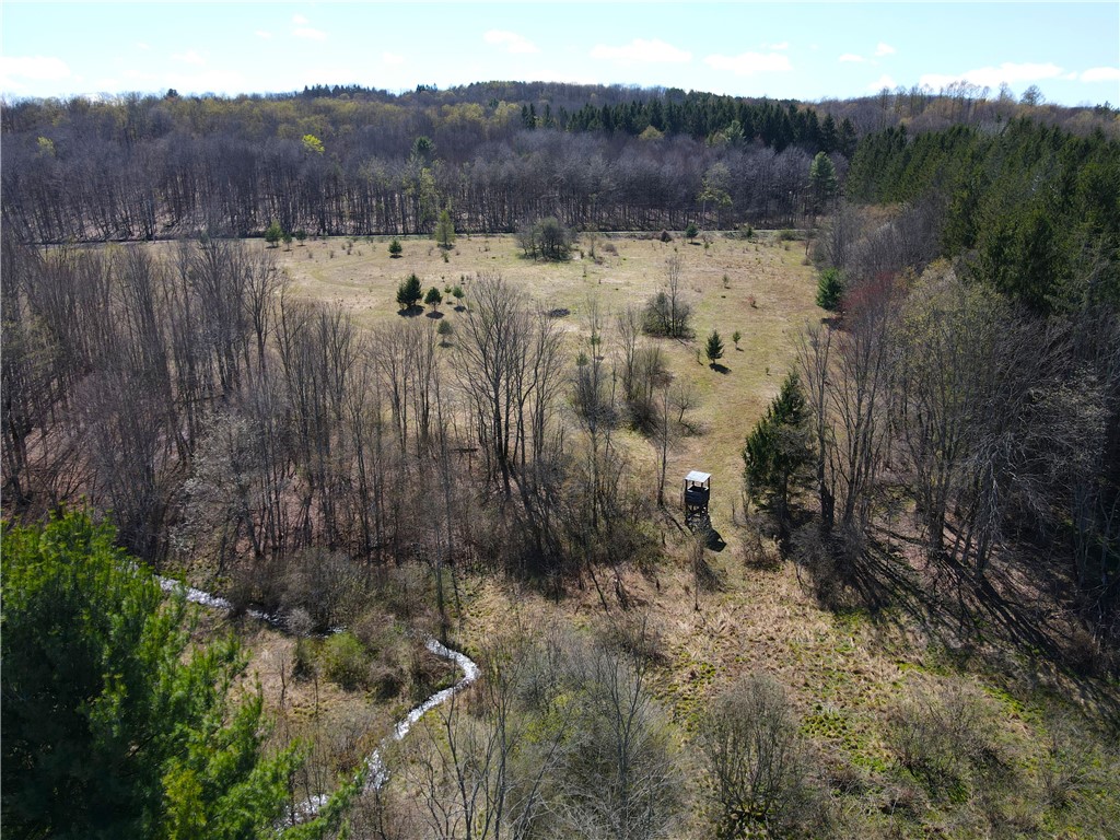 2856 Zimmer Road Scio, NY 14880 - Photo 23 of 50