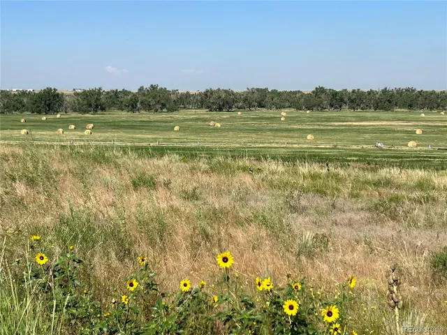 a view of an ocean and a mountain