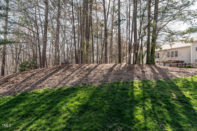 3742 Old Post Road Raleigh, NC 27612 - Photo 33 of 35 a view of outdoor space with trees