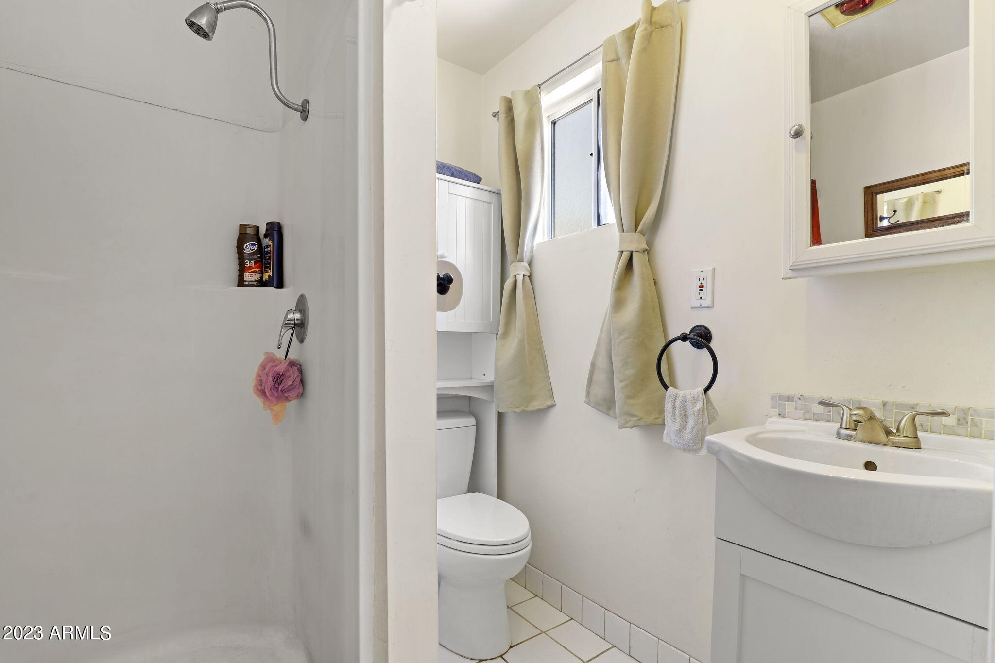 1536 East Mountain View Road Phoenix, AZ 85020 - Photo 27 of 45 Primary bath view