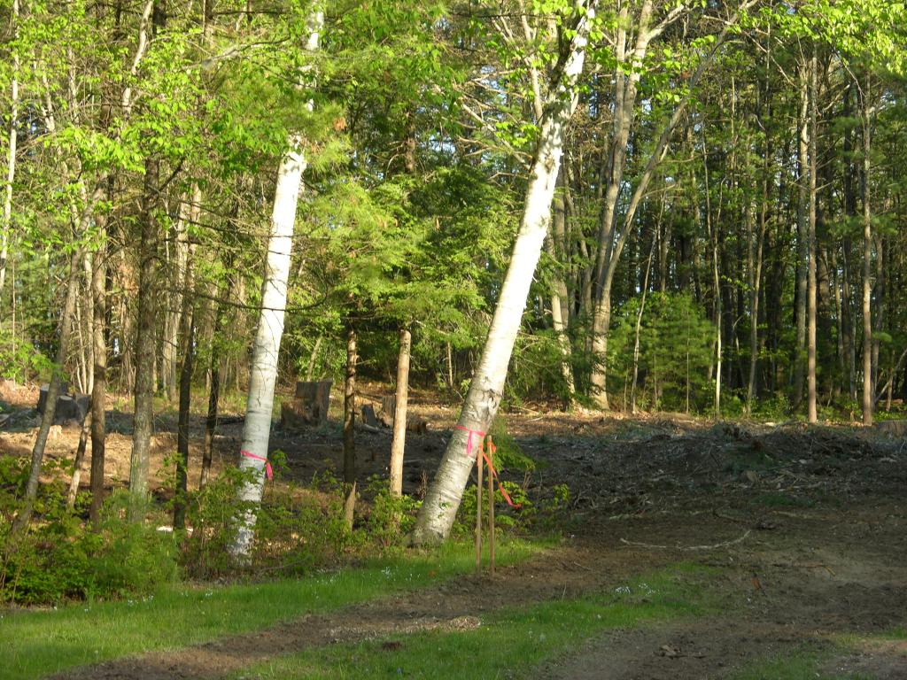 Lot 43-031 Nicholas Road Plaistow, NH 03865 - Photo 16 of 18 Gallery Image 16