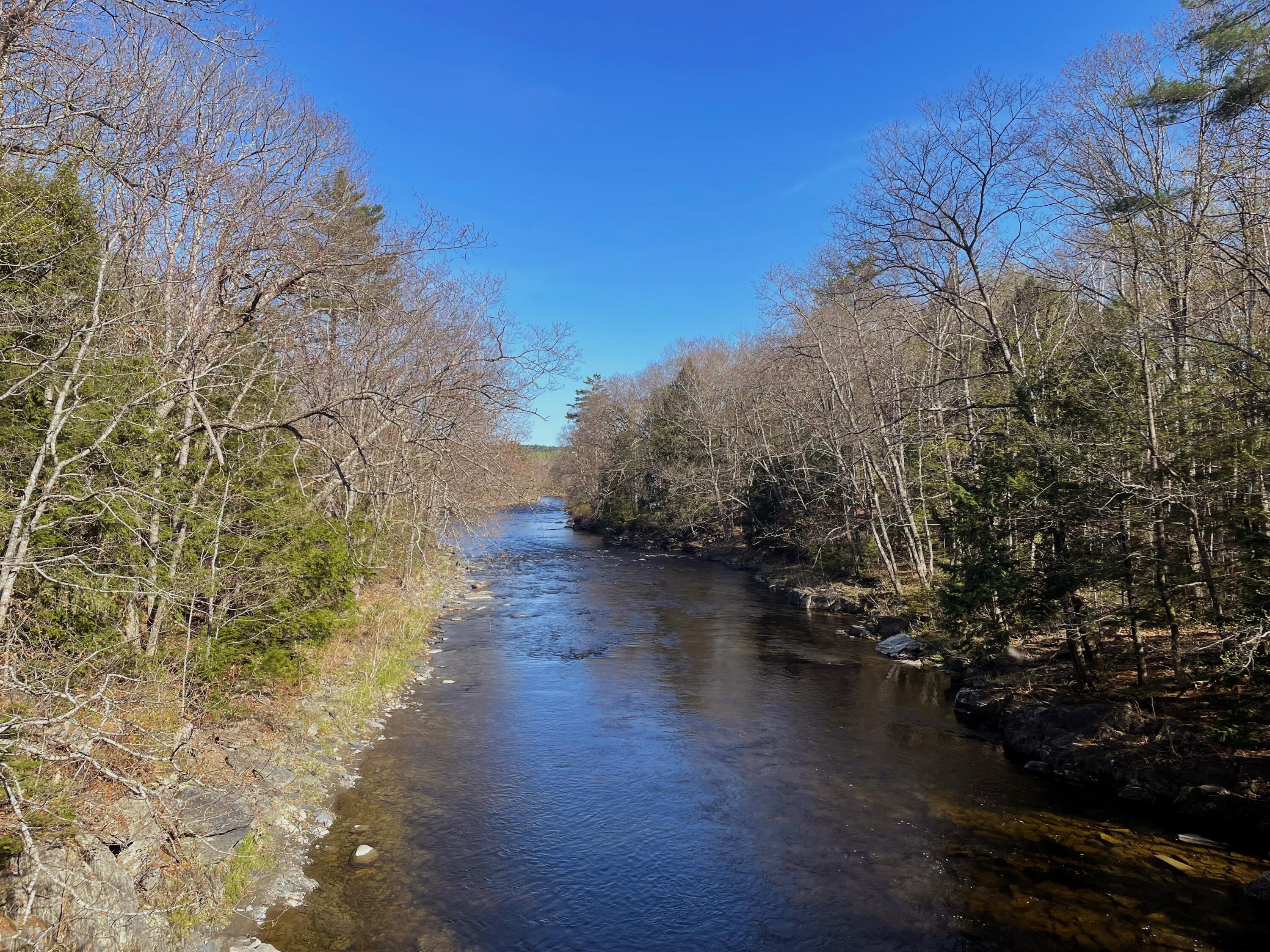 30 Wilson Stream Road Willimantic, ME 04443 - Photo 6 of 12 Liza Perry 4