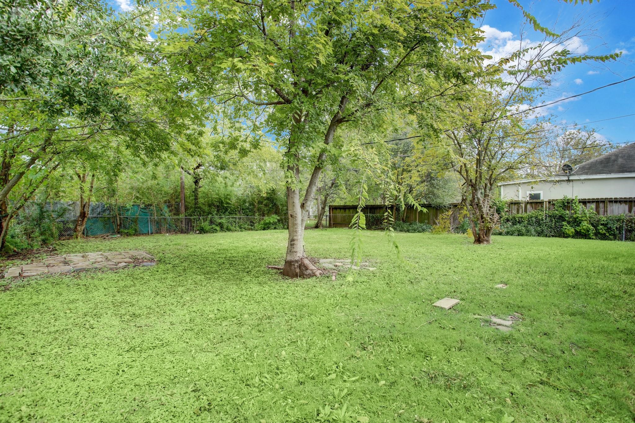 4523 Keystone Street Houston, TX 77021 - Photo 17 of 23 a view of a park with a tree