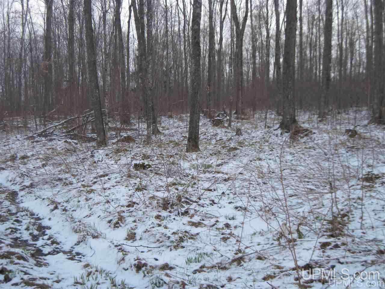3475 Rd Iron River Iron River, MI 49935 - Photo 12 of 15