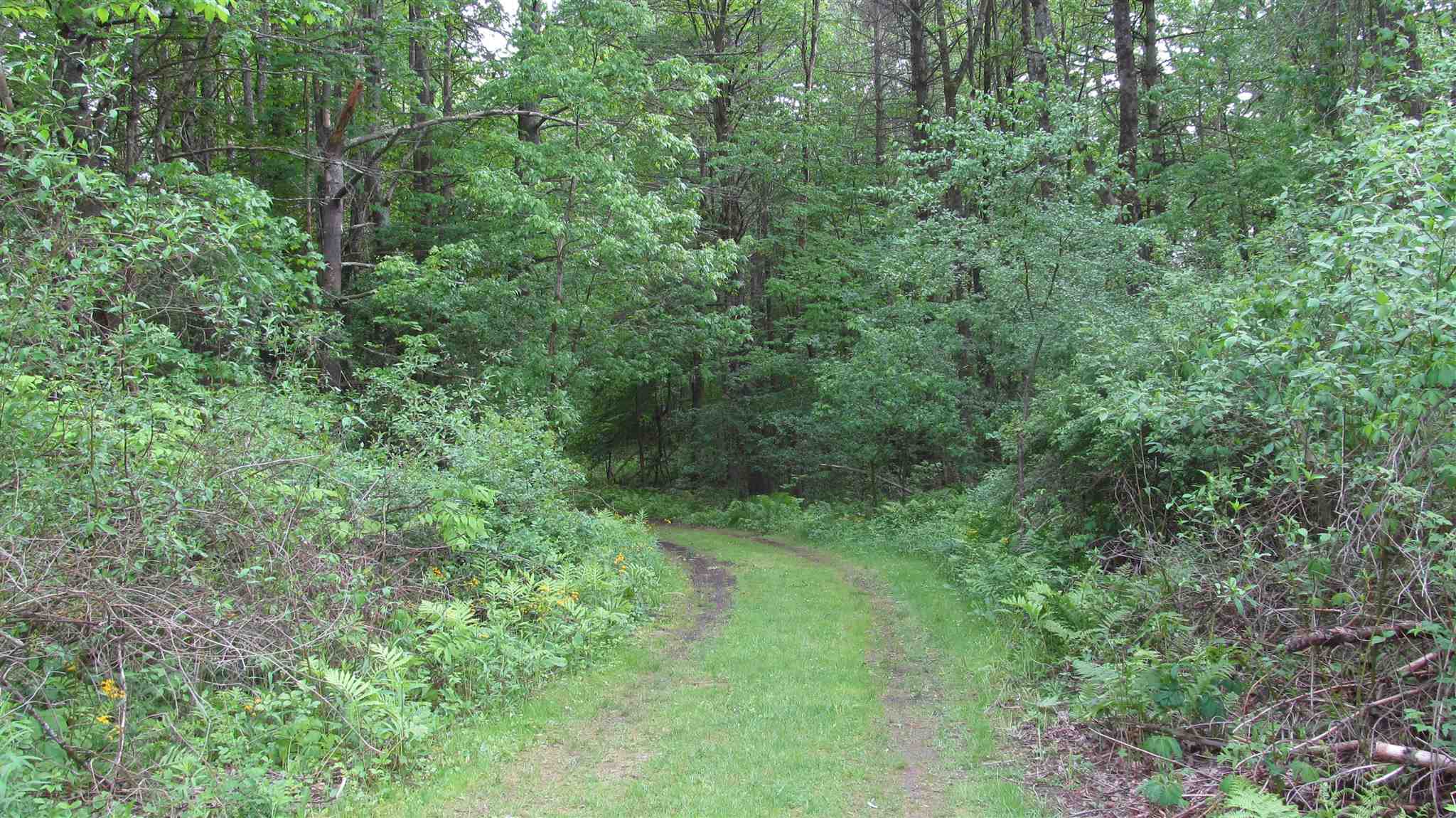 696 Boardman Hill Road West Rutland, VT 05777 - Photo 31 of 40 Gallery Image 31