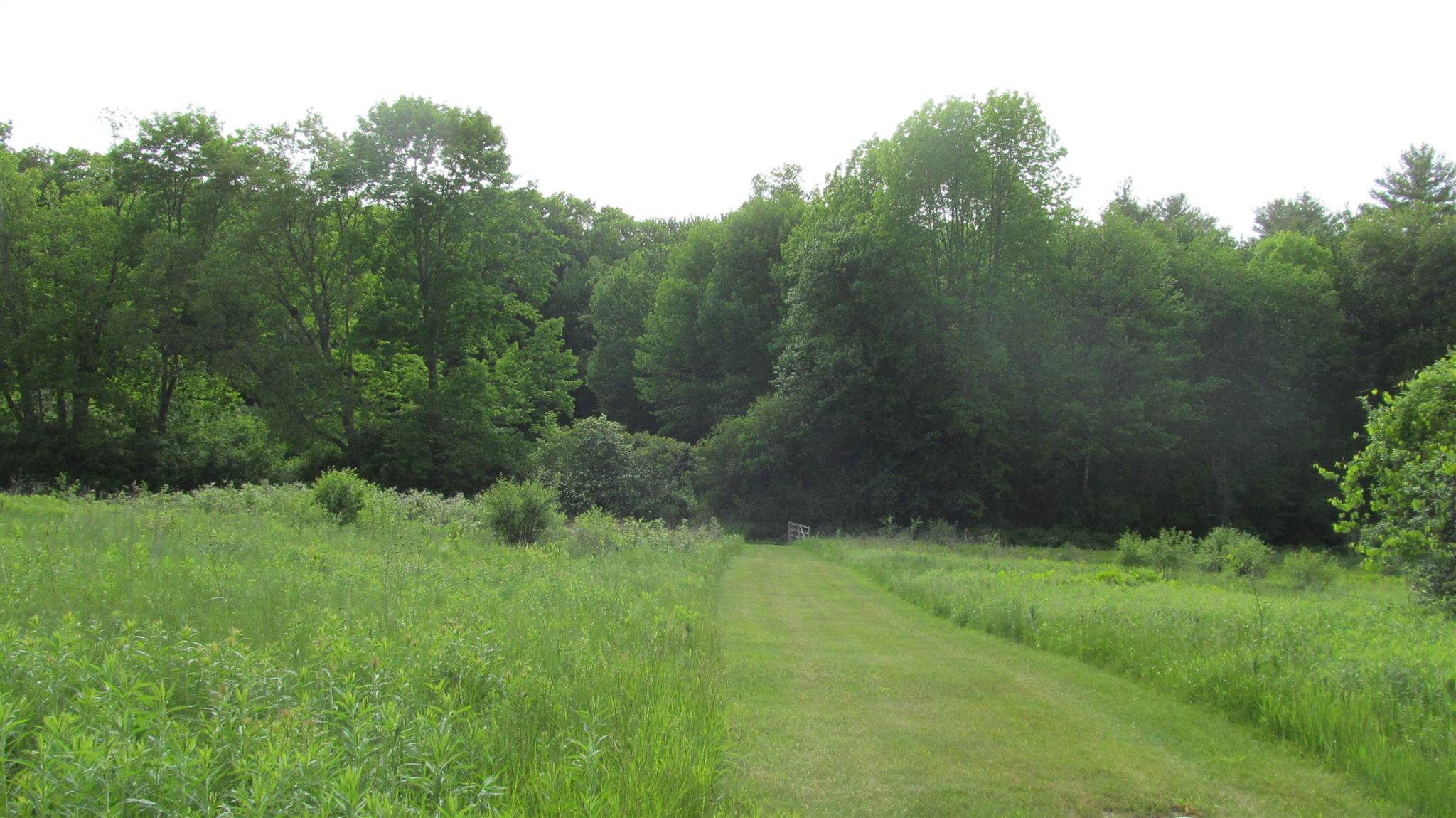 696 Boardman Hill Road West Rutland, VT 05777 - Photo 33 of 40 Gallery Image 33