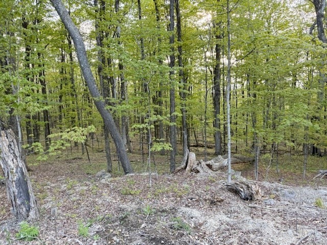 0 North Main Street Petersham, MA 01366 - Photo 2 of 2