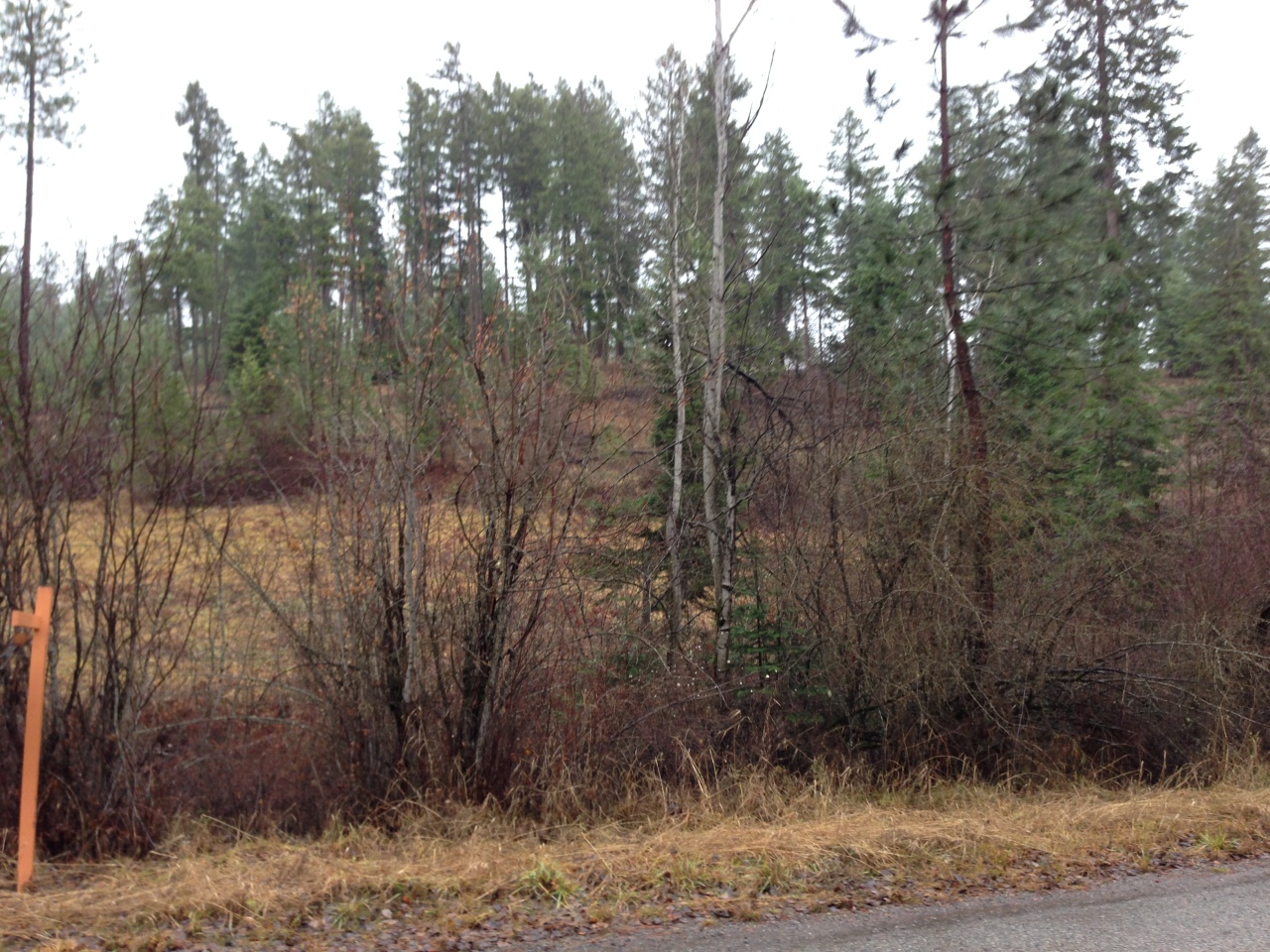 Nna East Sunnyside Road Coeur D'Alene, ID 83814 - Photo 1 of 1 5.6acres