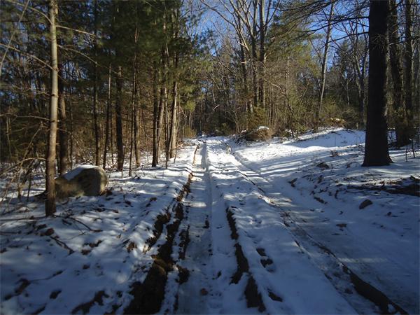 Lot 1 Cummings Road Ware, MA 01082 - Photo 1 of 3