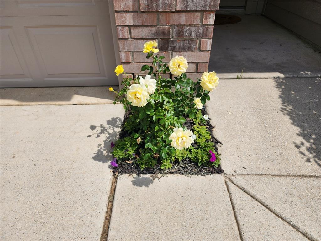 12808 Kingsgate Drive Rhome, TX 76078 - Photo 38 of 40