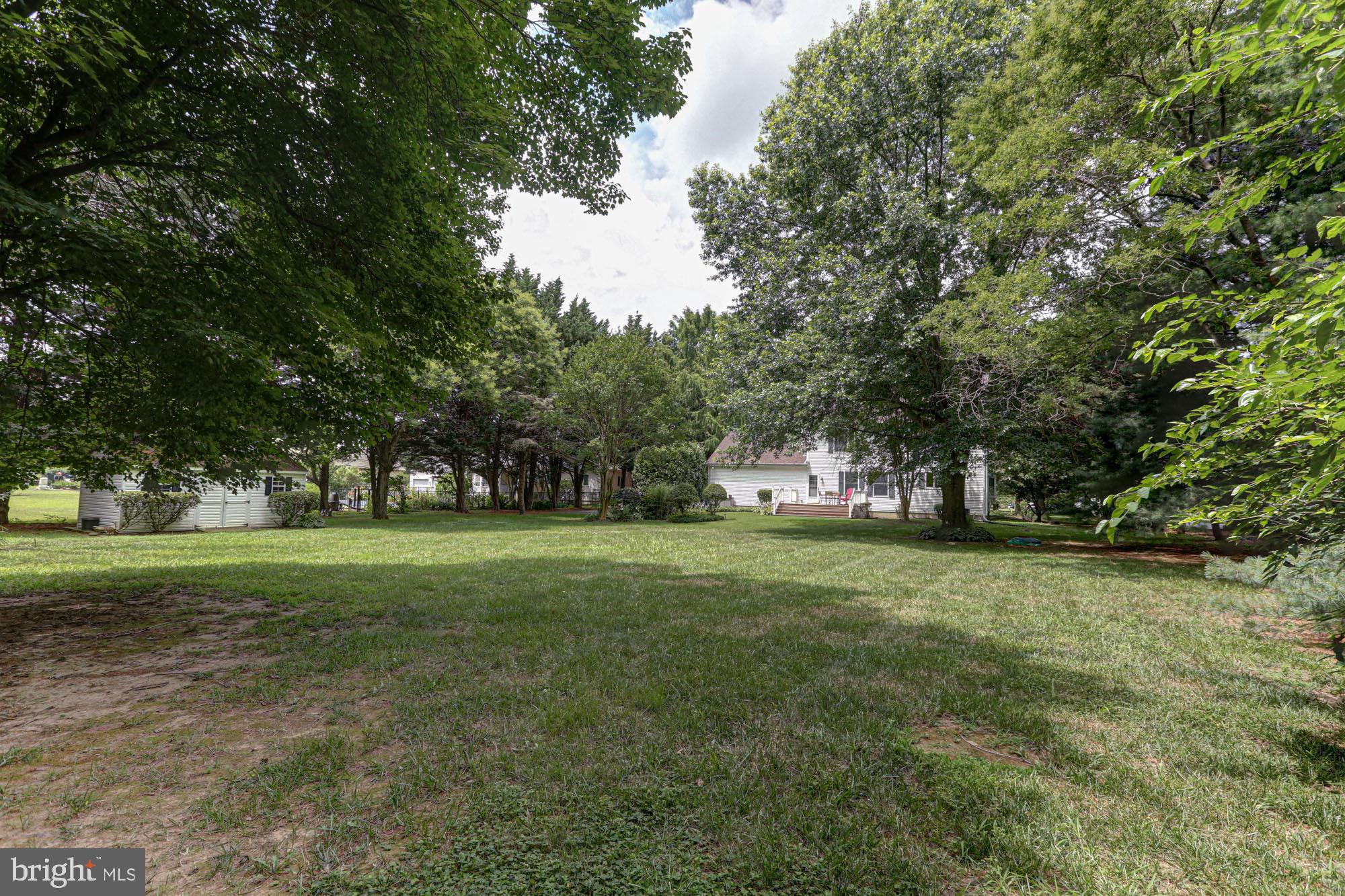 104 Dungarvan Drive Middletown, DE 19709 - Photo 5 of 45 a view of a trees in a yard