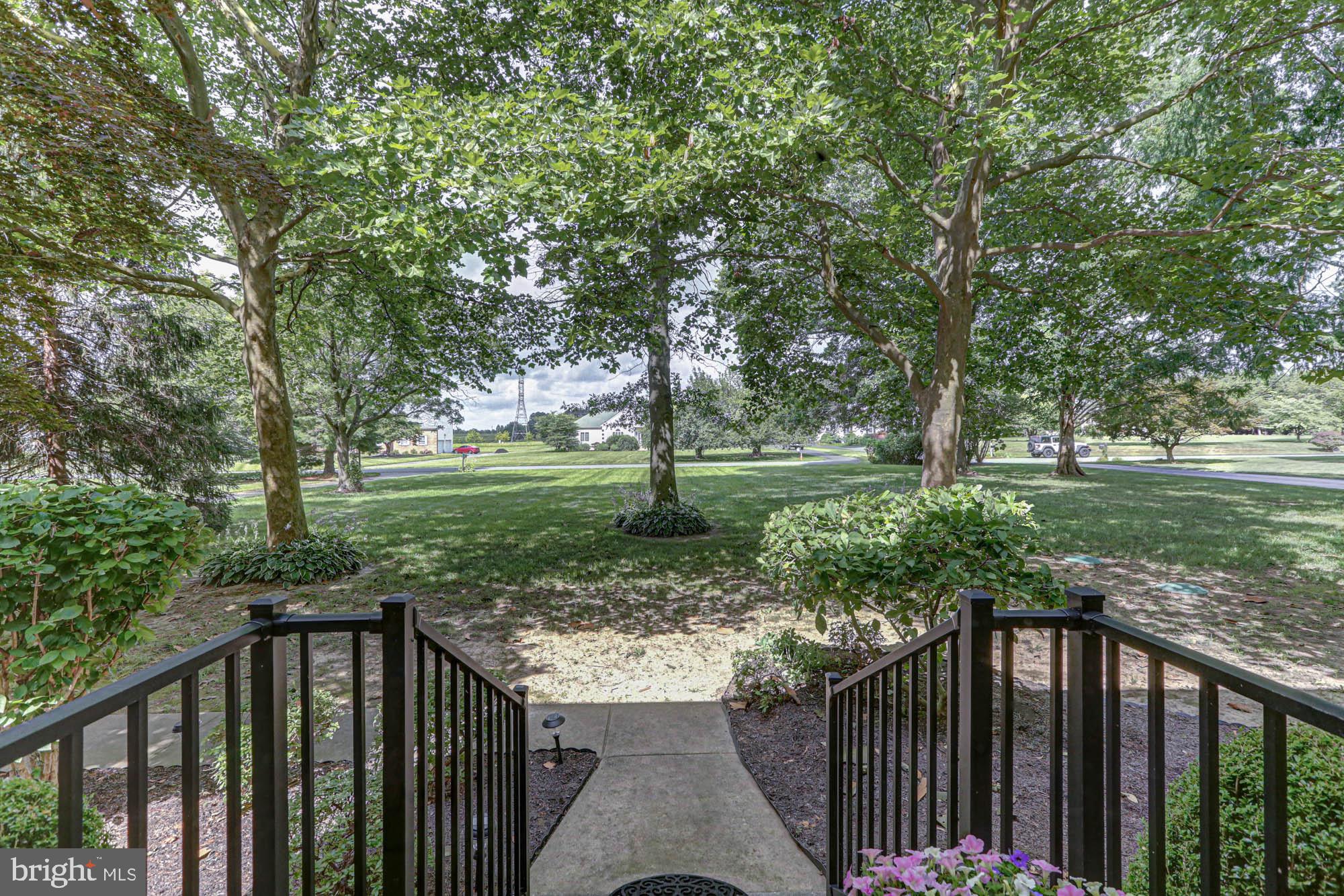 104 Dungarvan Drive Middletown, DE 19709 - Photo 9 of 45 a view of a deck with a big yard and large trees