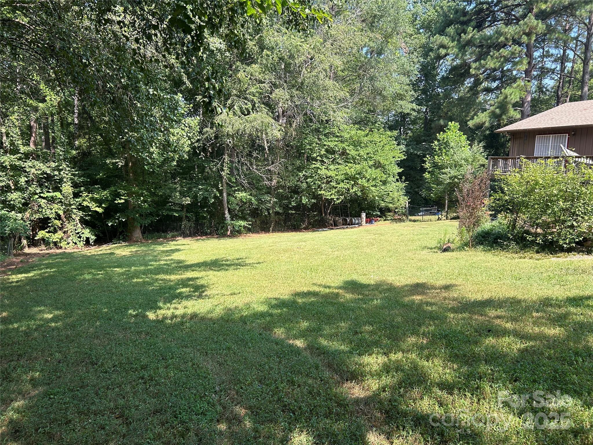 124 Blue Ridge Drive Rutherfordton, NC 28139 - Photo 41 of 48 a view of a tree in a yard