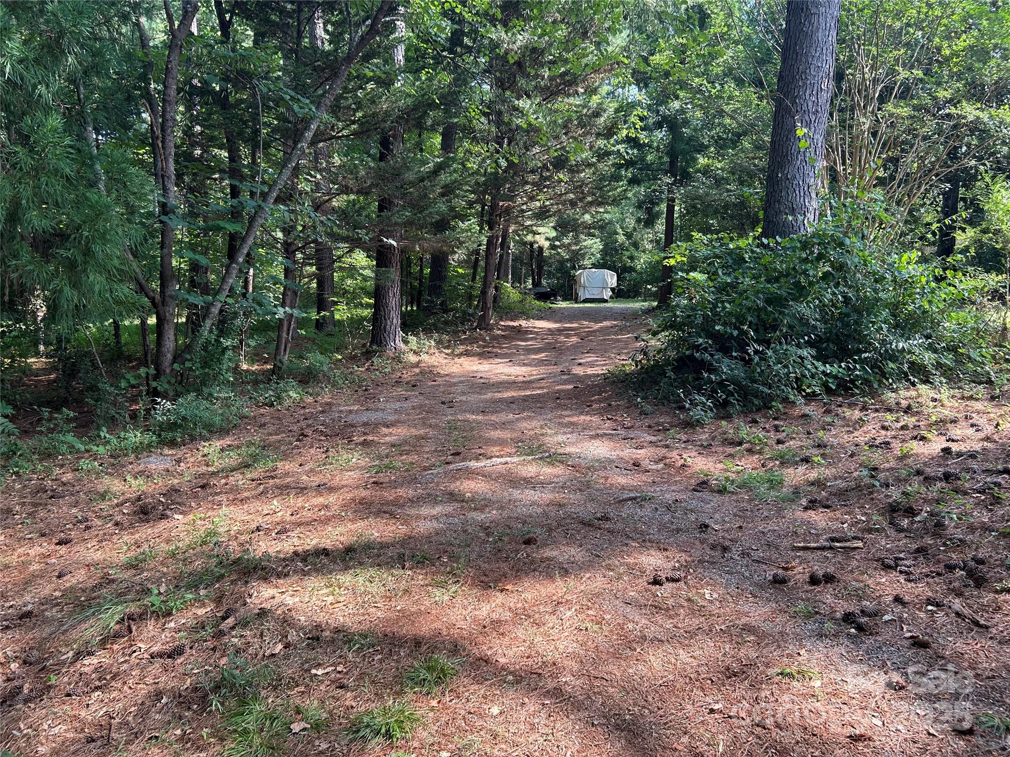 124 Blue Ridge Drive Rutherfordton, NC 28139 - Photo 44 of 48 a view of a forest with trees in the background