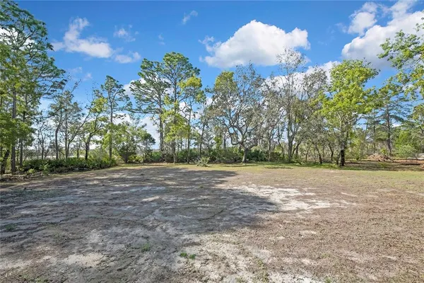 a view of a yard and a trees