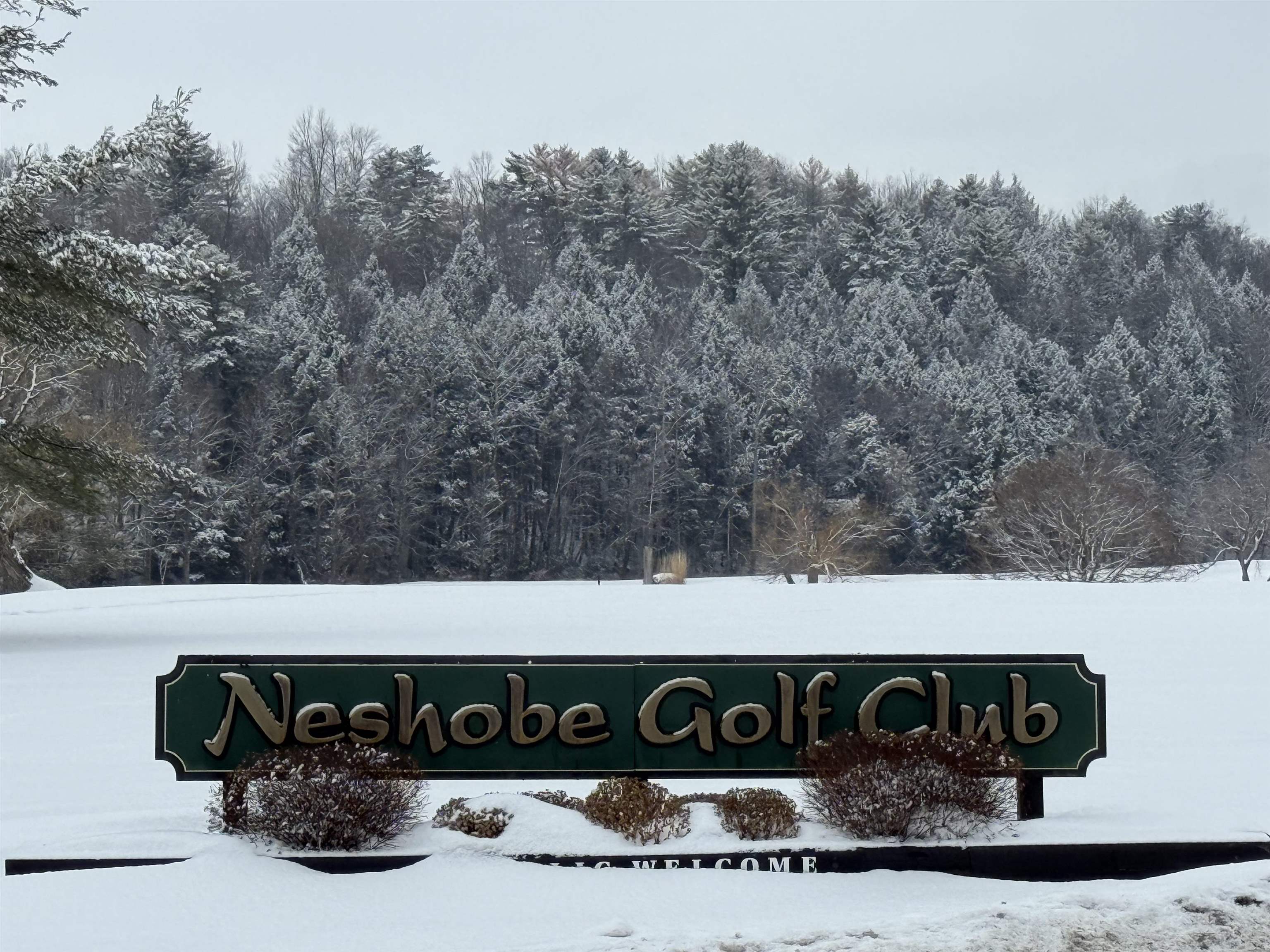 119 Town Farm Road Brandon, VT 05733 - Photo 31 of 47