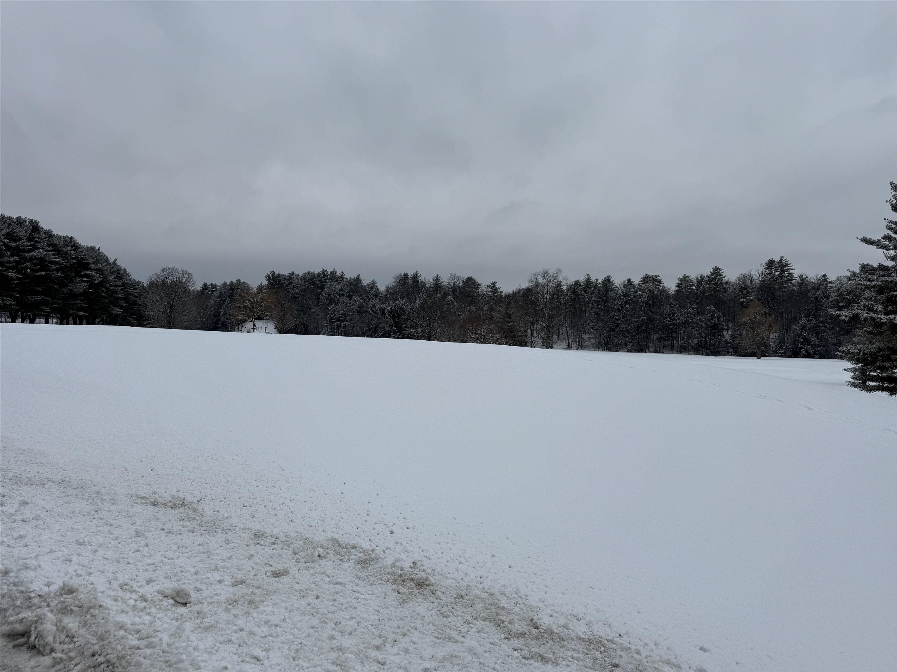 119 Town Farm Road Brandon, VT 05733 - Photo 33 of 47