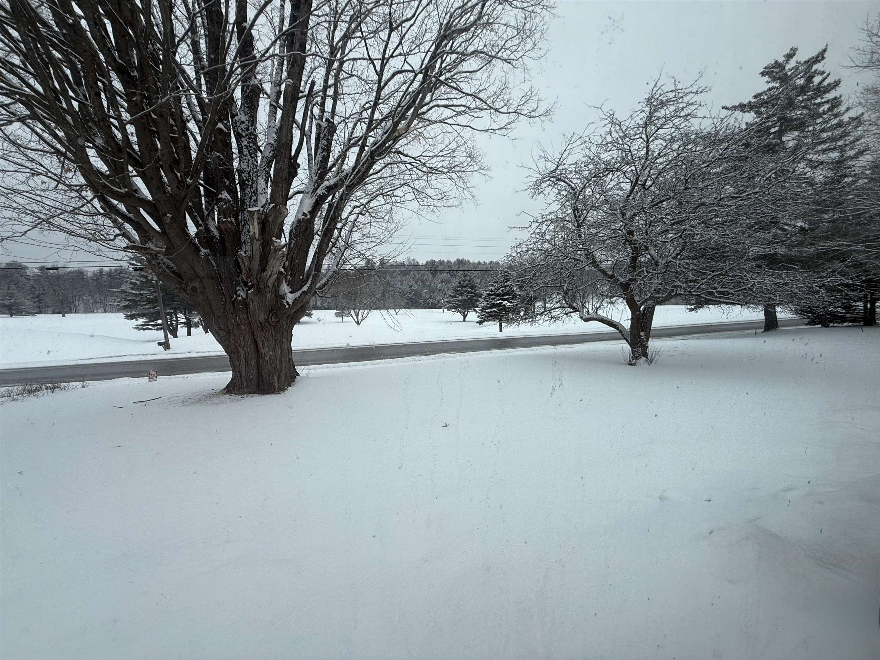 119 Town Farm Road Brandon, VT 05733 - Photo 4 of 47