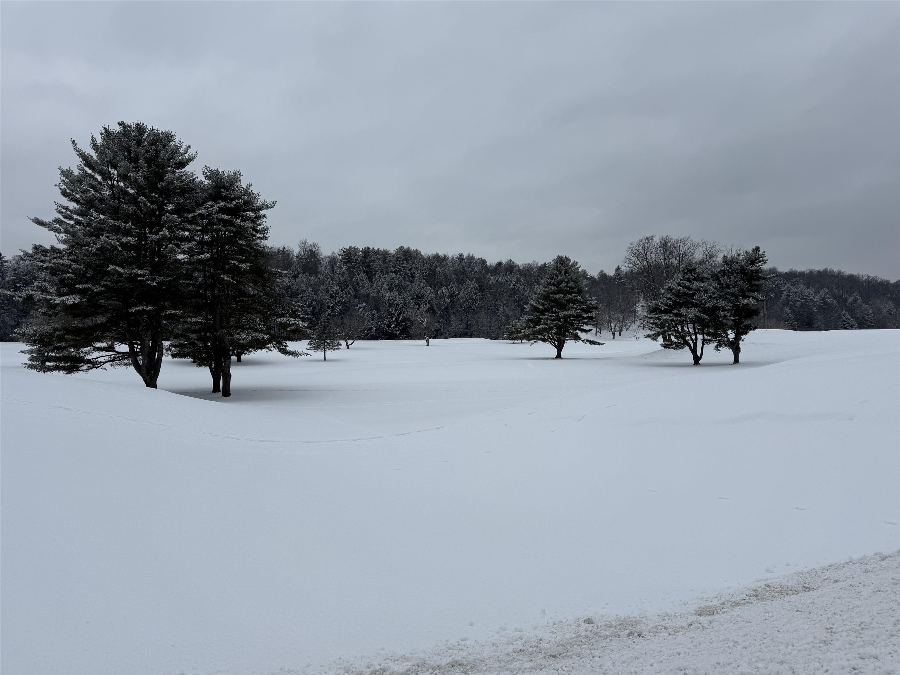 119 Town Farm Road Brandon, VT 05733 - Photo 5 of 47