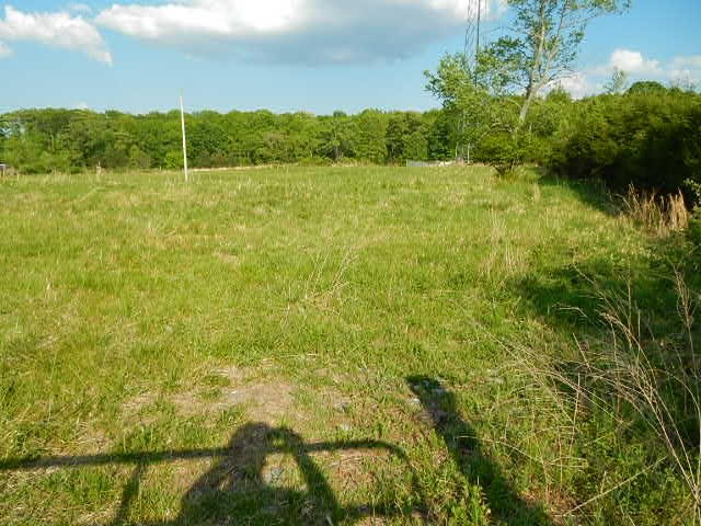 285 Shadden Road Birchwood, TN 37308 - Photo 3 of 11 Gallery Image 3