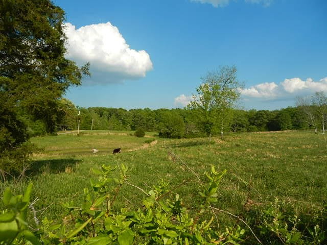 285 Shadden Road Birchwood, TN 37308 - Photo 5 of 11 Gallery Image 5