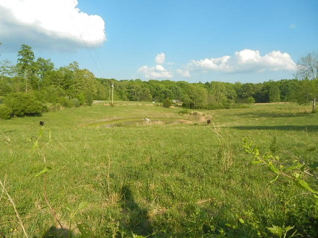 285 Shadden Road Birchwood, TN 37308 - Photo 6 of 11 Gallery Image 6