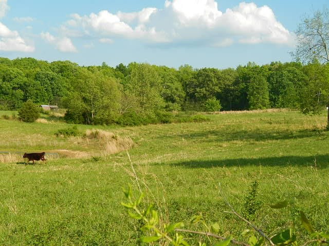 285 Shadden Road Birchwood, TN 37308 - Photo 7 of 11 Gallery Image 7