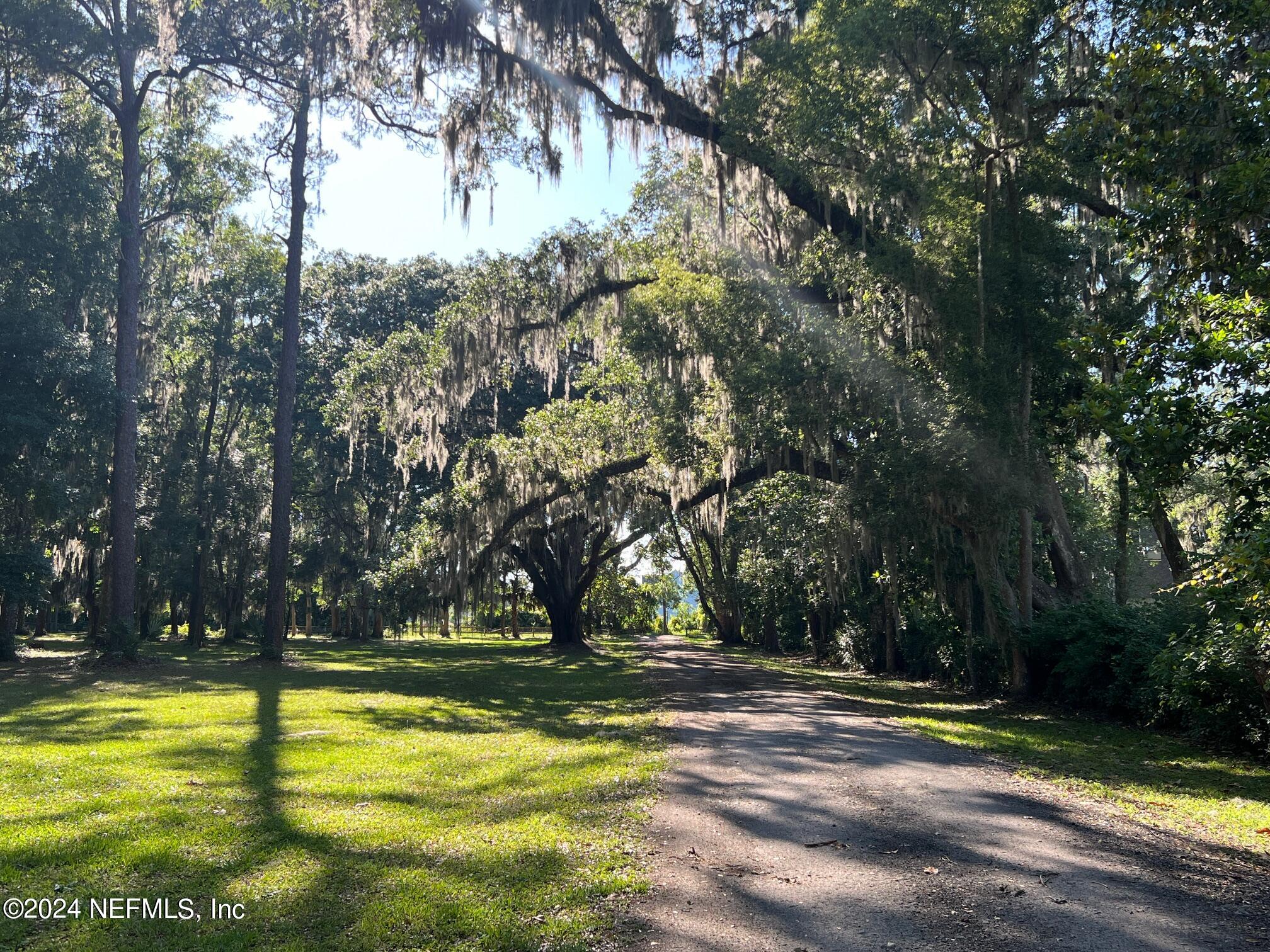 6935 Old Church Road Fleming Island, FL 32003 - Photo 64 of 66 Afternoon view of the tree lined drive