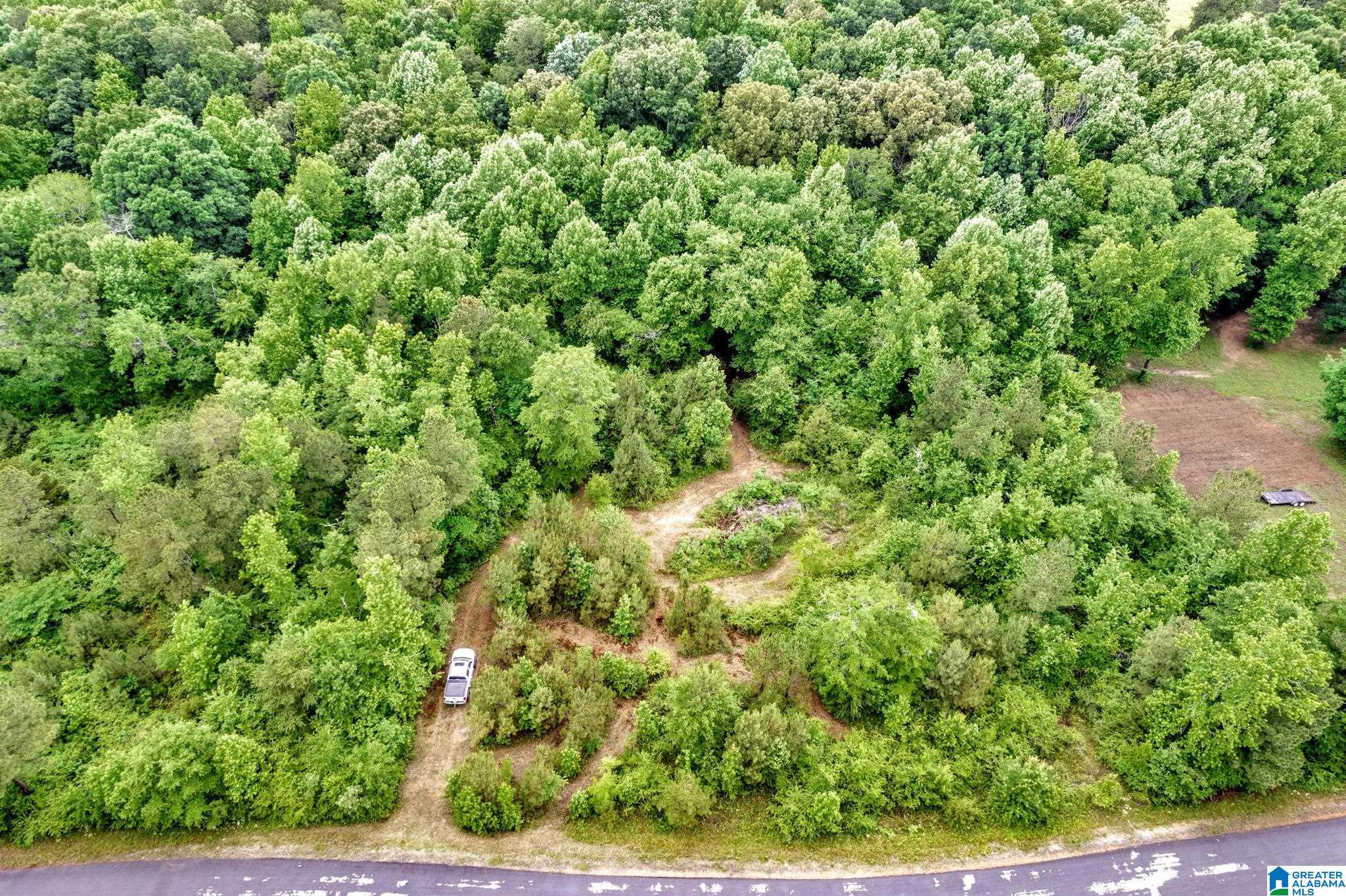530 Mt Road Blountsville, AL 35031 - Photo 1 of 18