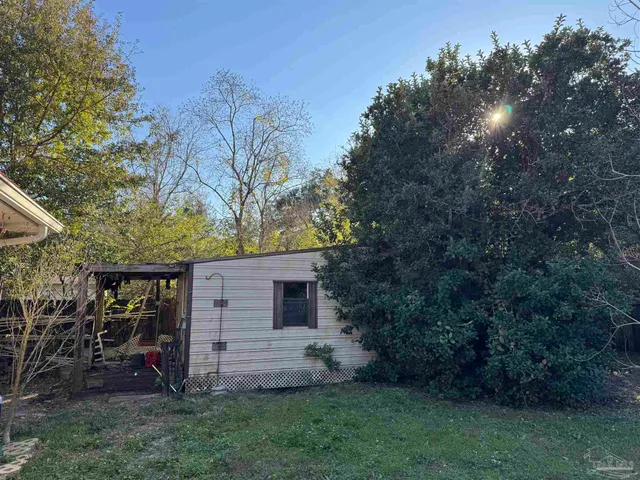 a view of a backyard with plants potted plants and large tree