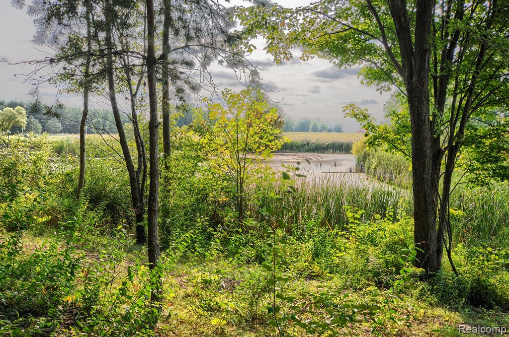 4431 Gosline Road Marlette, MI 48453 - Photo 49 of 67