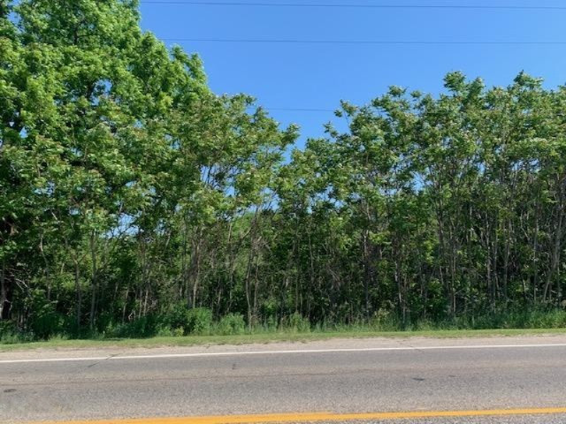 Shelby Road Shelby, MI 49455 - Photo 3 of 4 IMG_0400