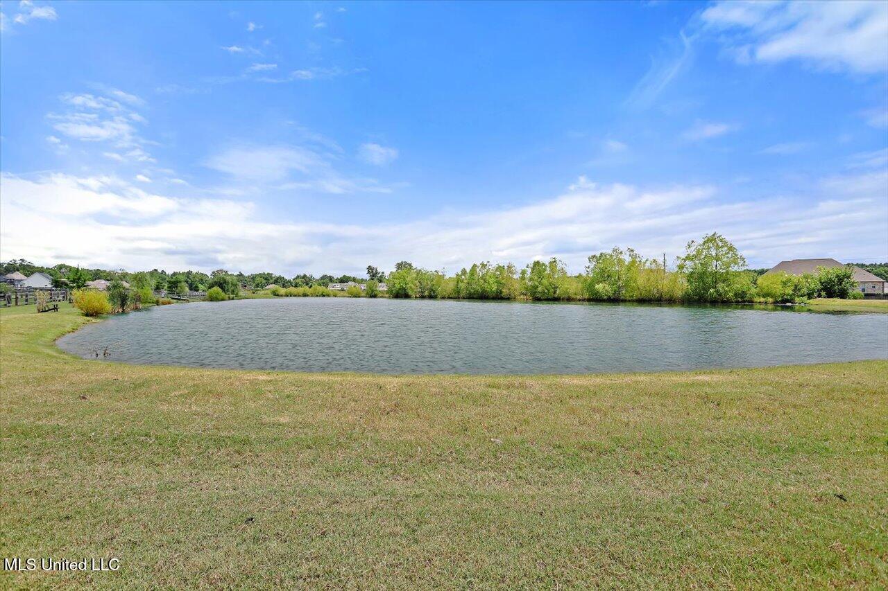 110 Crossview Place Brandon, MS 39047 - Photo 60 of 63 60-110 Crossview Pl