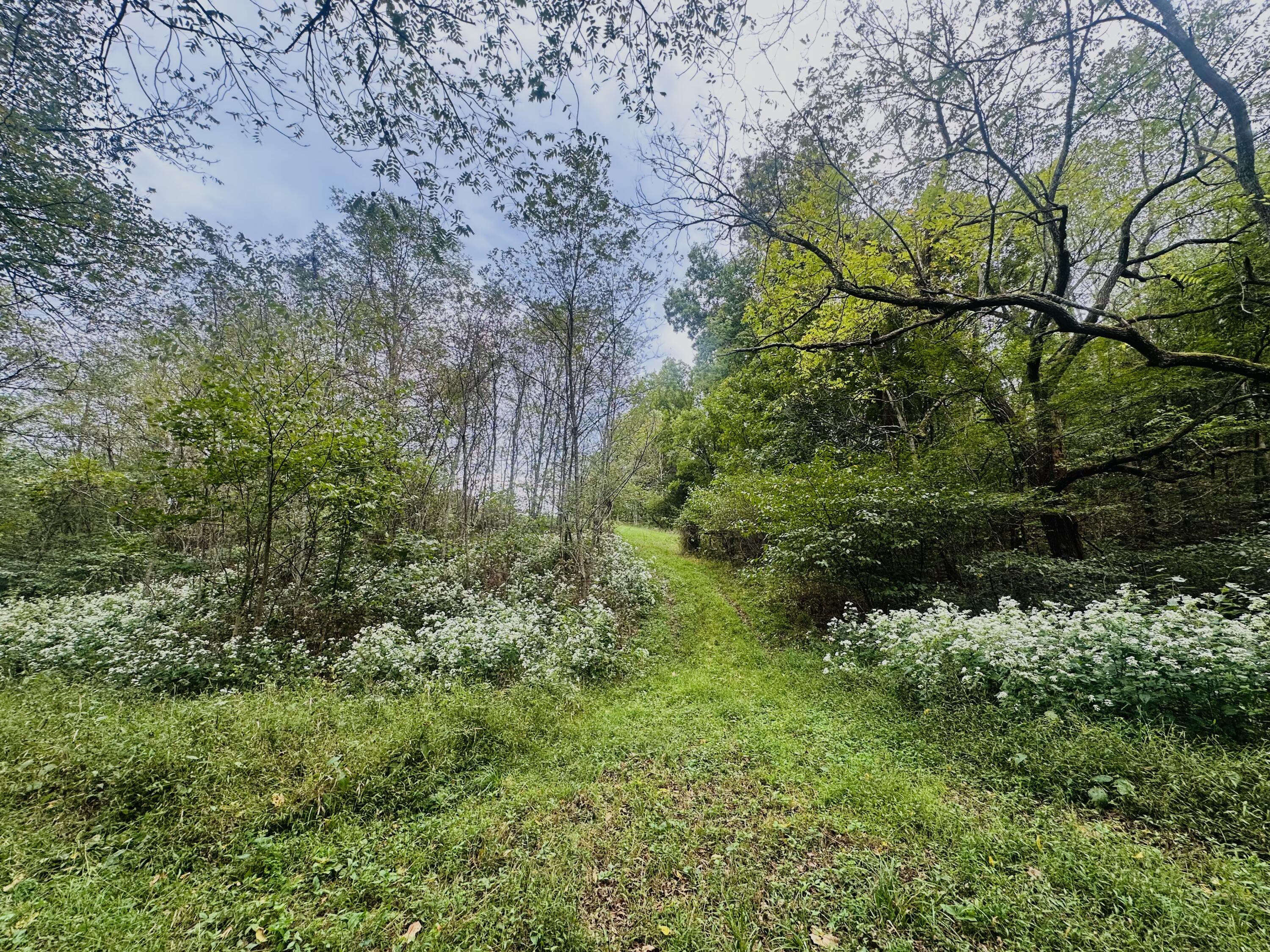 203 Chaplin Road Willisburg, KY 40078 - Photo 50 of 77 IMG_8333