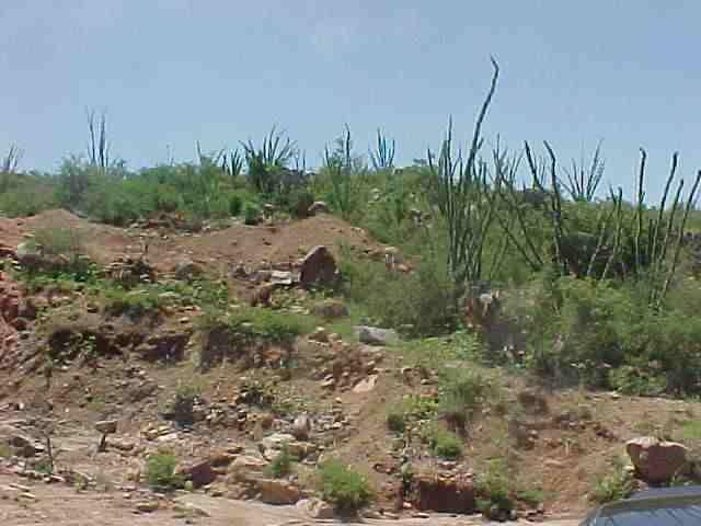 1705 Ave Calamar Rio Rico, AZ 85648 - Photo 1 of 4