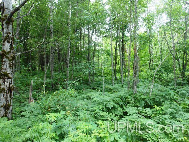 Tbd West Sunset Lake Road Iron River, MI 49935 - Photo 1 of 8