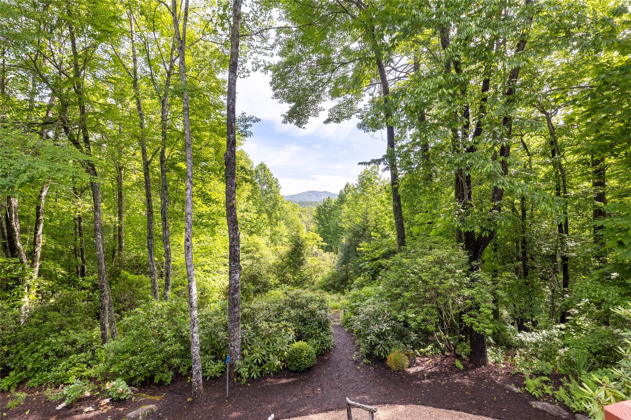 141 Old Ford Road Cashiers, NC 28717 - Photo 31 of 92 Gallery Image 31