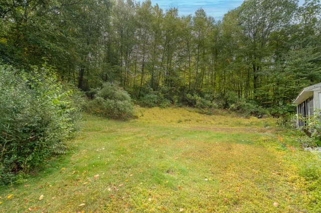 a view of a road with plants and large trees