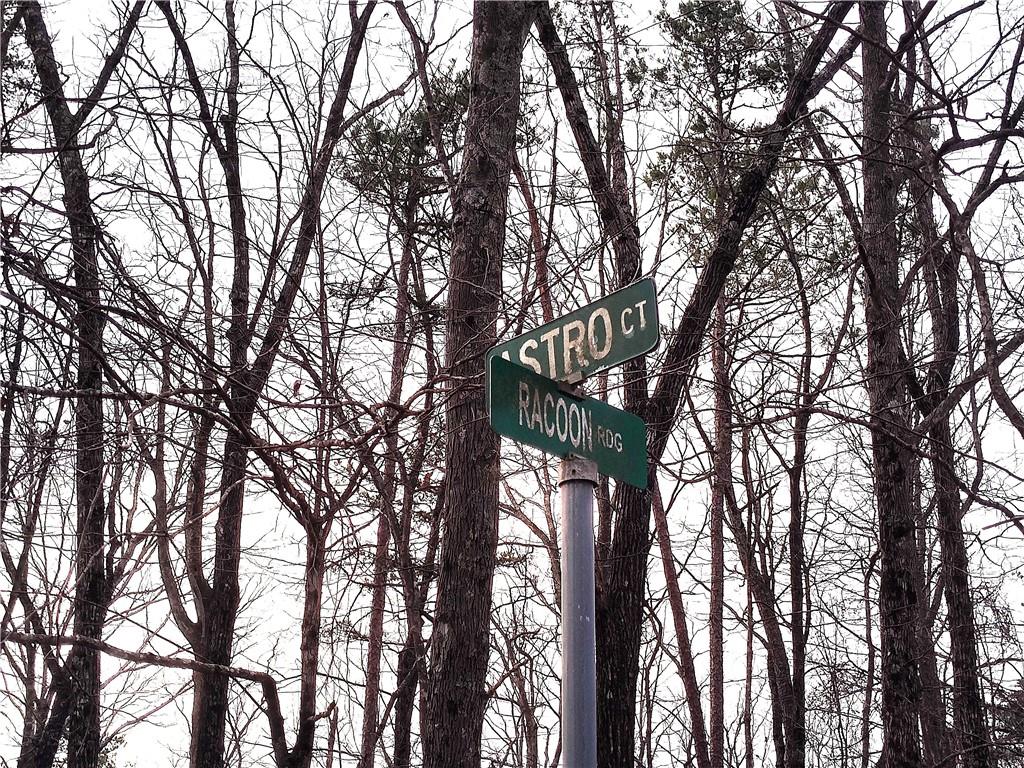 1036 Astro Court Northeast Ranger, GA 30734 - Photo 2 of 12