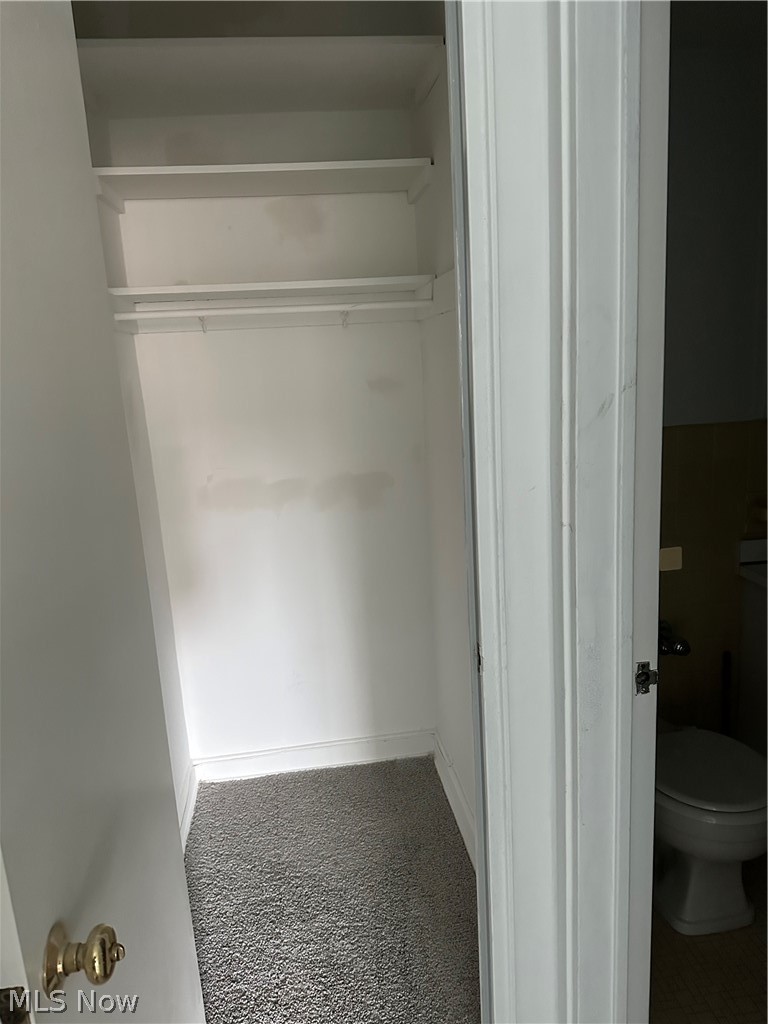 13800 Fairhill Road, Unit 416 Shaker Heights, OH 44120 - Photo 13 of 13 Carpeted closet with integrated shelving and hanging rods