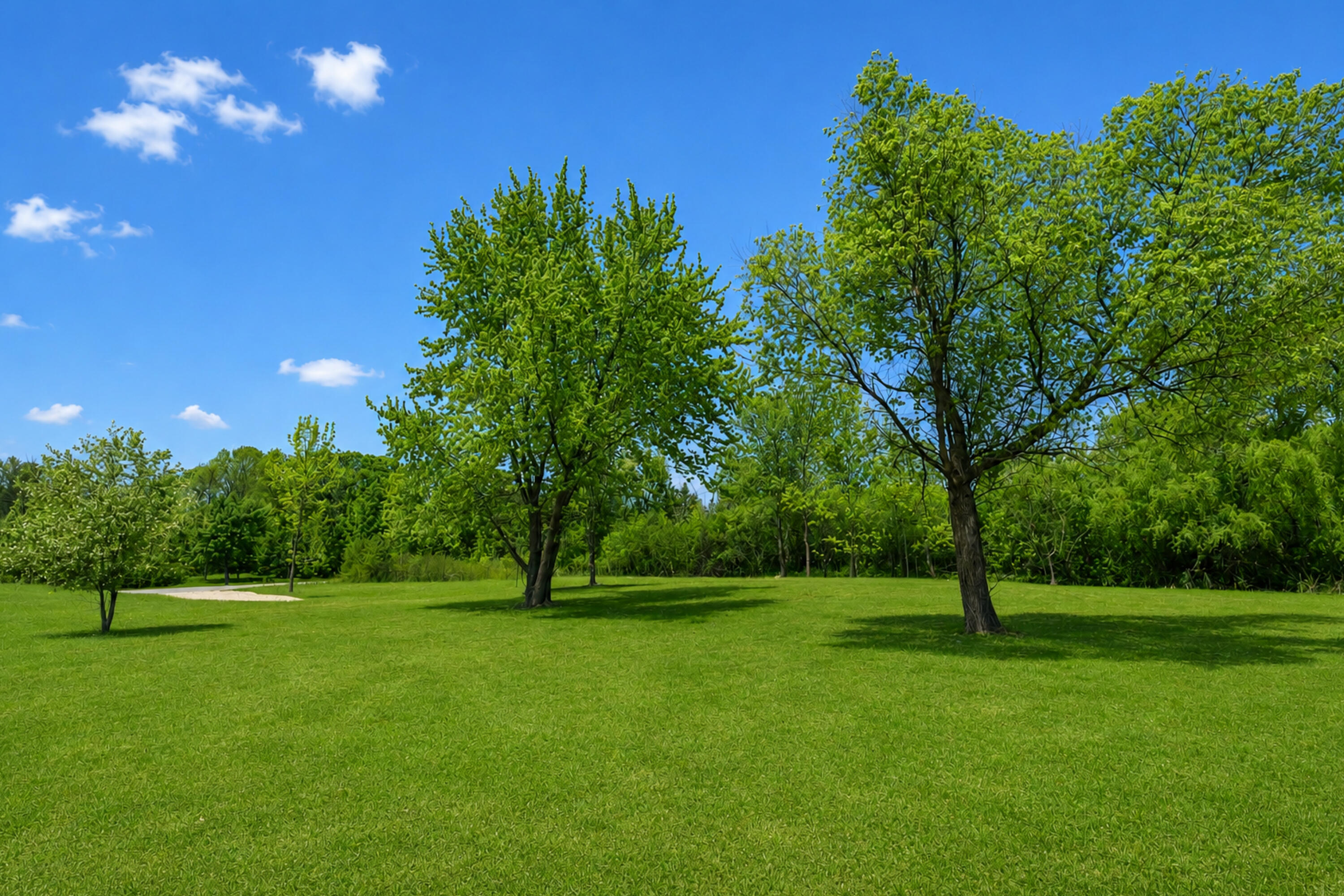 2516 Range Line Terrace Mequon, WI 53092 - Photo 2 of 12 Gorgeous setting