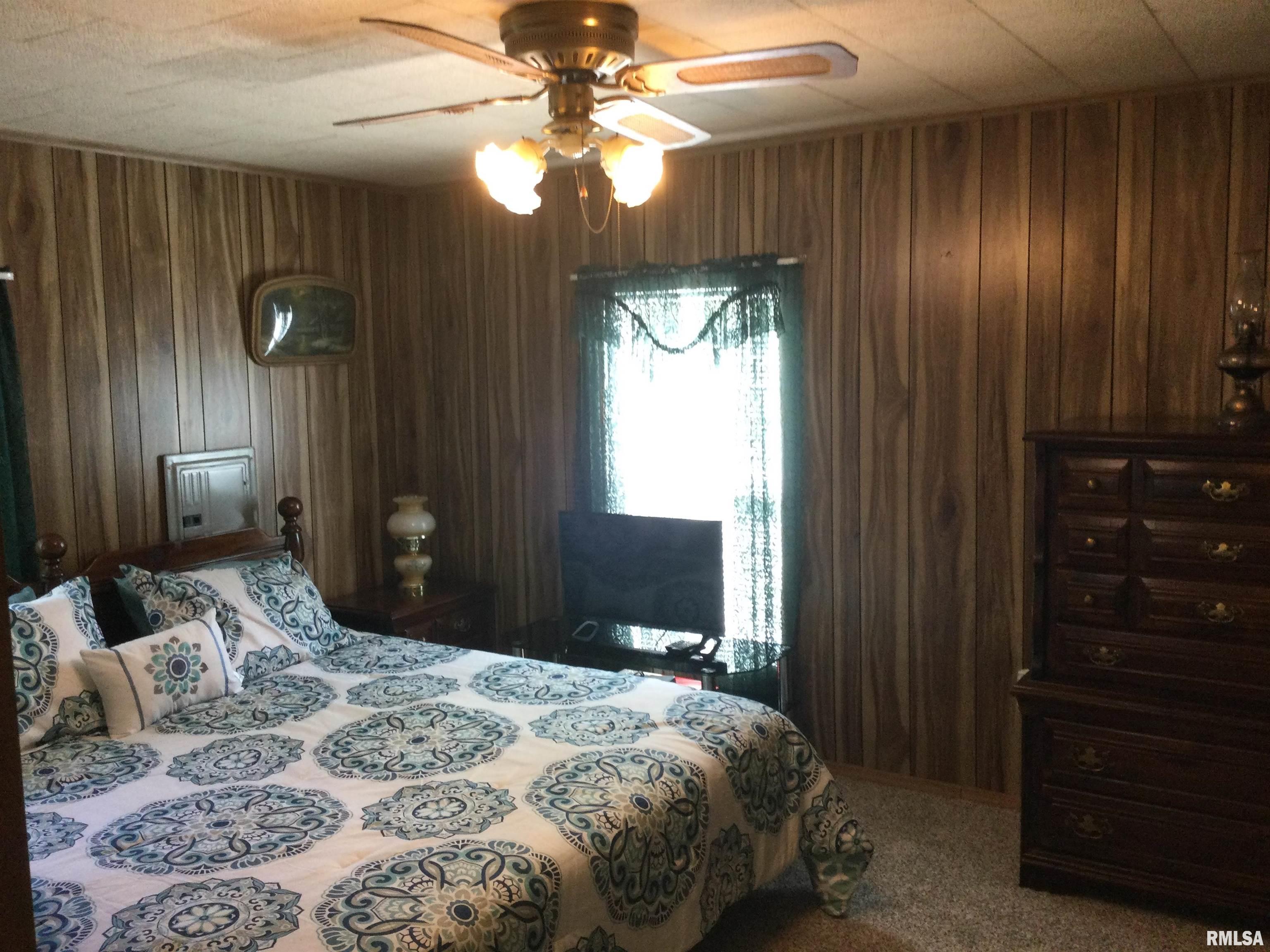 515 Jimtown Loop Anna, IL 62906 - Photo 20 of 29
