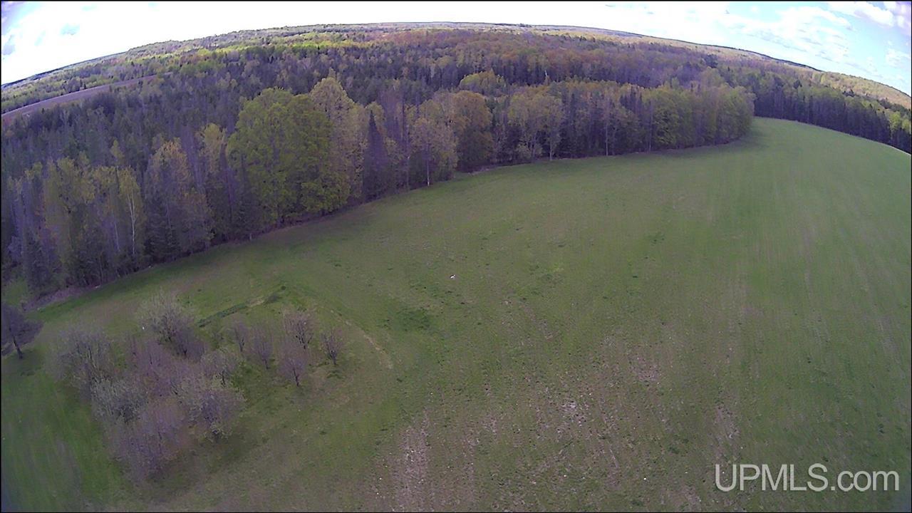 N19598 Swede Road Perronville, MI 49873 - Photo 44 of 59