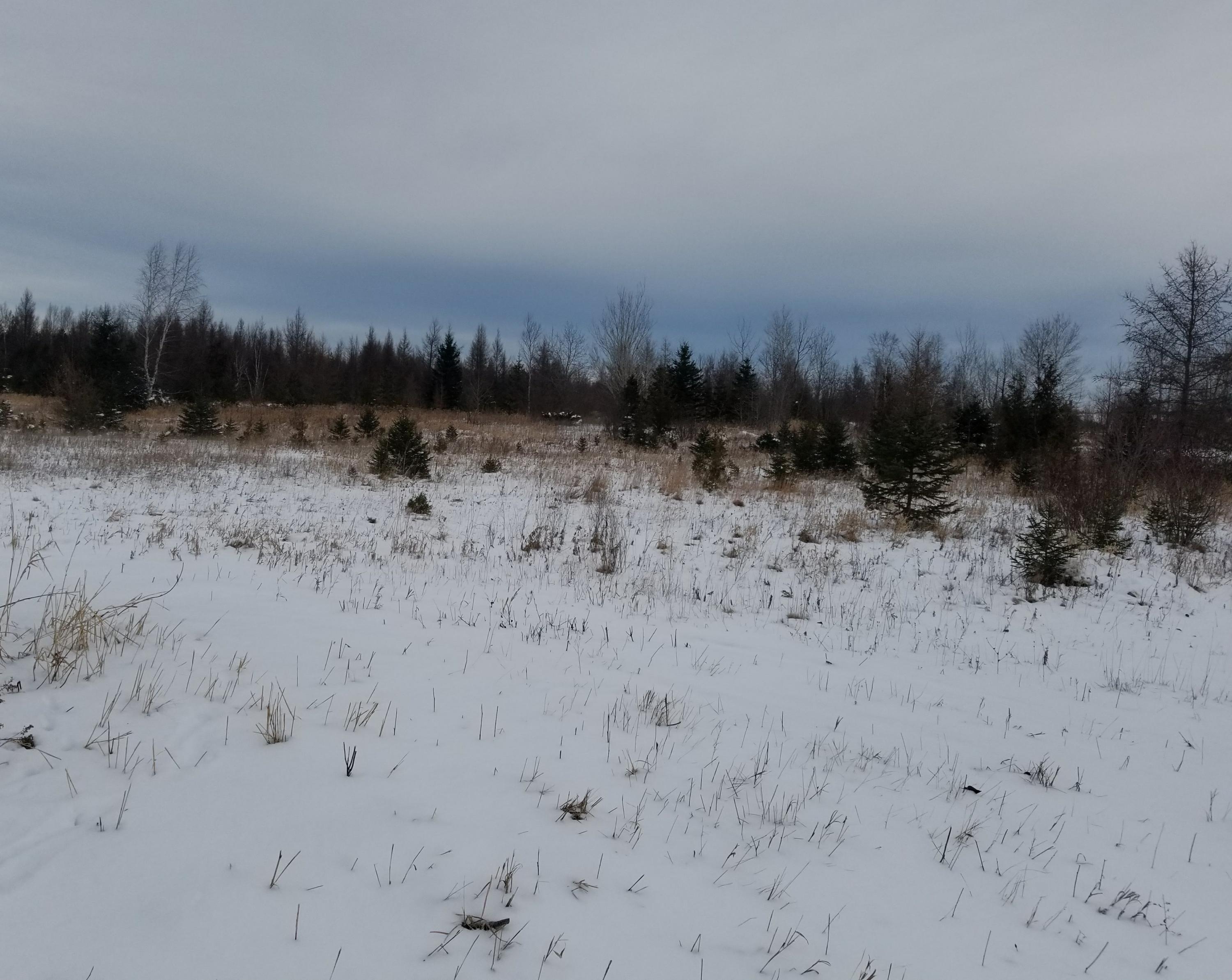 Thomson Road Lachine, MI 49753 - Photo 12 of 24 Gallery Image 12
