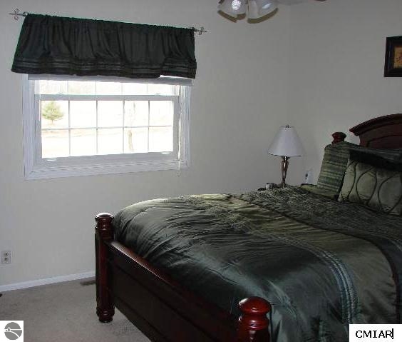 1216 Walton Road Mount Pleasant, MI 48858 - Photo 24 of 34 1779572-23.JPG