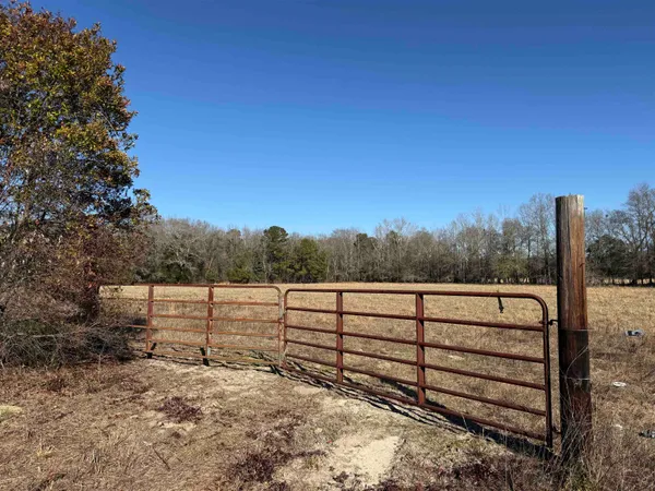 $335,000 | 10686 Scott Avenue, Manning, SC 29102