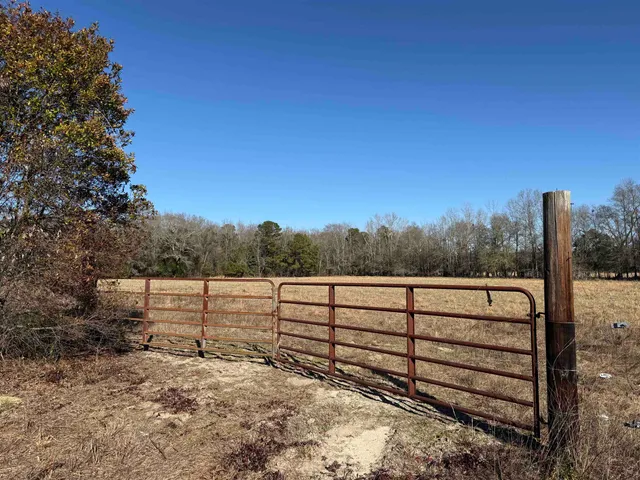 $335,000 | 10686 Scott Avenue, Manning, SC 29102