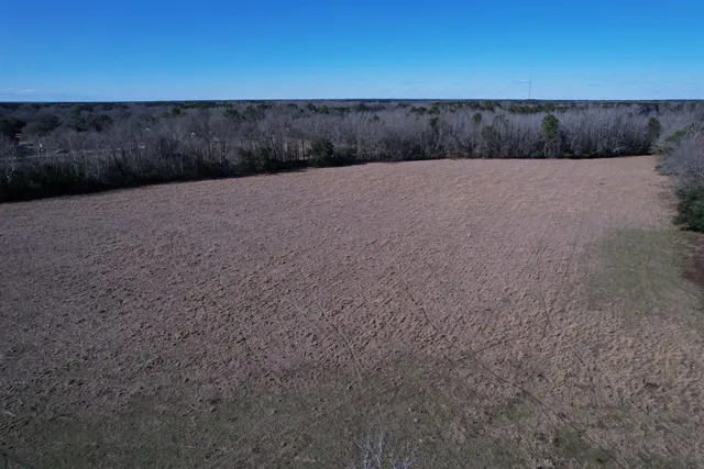 $335,000 | 10686 Scott Avenue, Manning, SC 29102