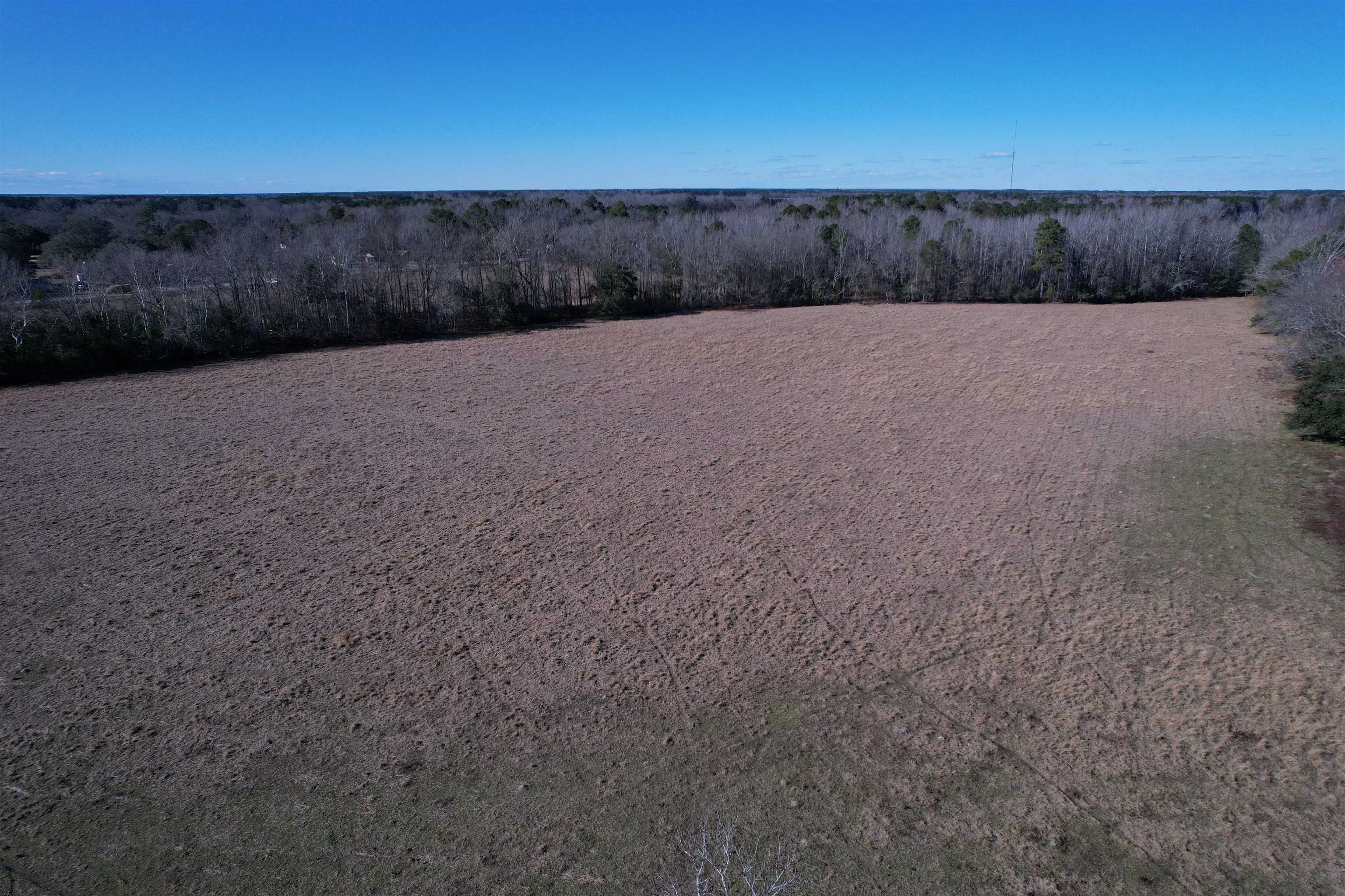 10686 Scott Avenue Manning, SC 29102 - Photo 14 of 18