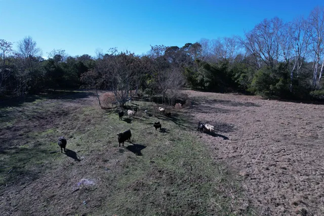 $335,000 | 10686 Scott Avenue, Manning, SC 29102